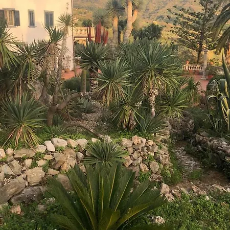 Giardino Dionysos Отель типа 
