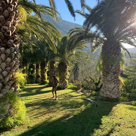 Giardino Dionysos *