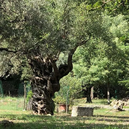 Giardino Dionysos Отель типа 
